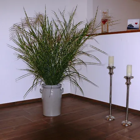 Gasthuis Gaestehaus Fraune