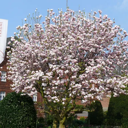 Casa de hóspedes Gaestehaus Fraune