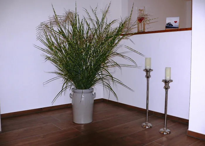 Pensionat Gaestehaus Fraune