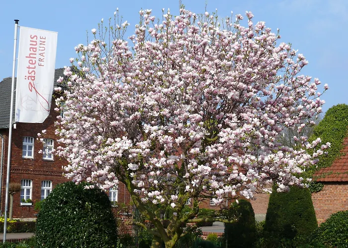 Affittacamere Gaestehaus Fraune